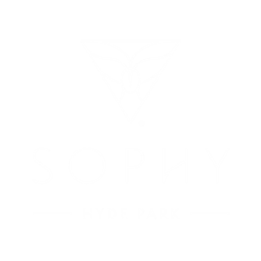 Sophy Hotel Hyde Park Chicago